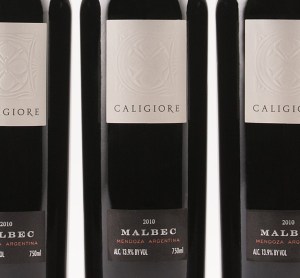 2e21af8f53d526fc0d2153cbb8b444b2