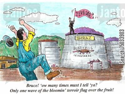 'Bruce! 'ow many times must I tell 'ya? Only one wave of the bloomin' terroir flag over the fruit!'