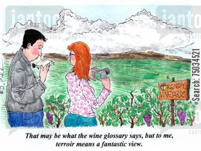 'That may be what the wine glossary says, but to me, terroir means a fantatic view.'