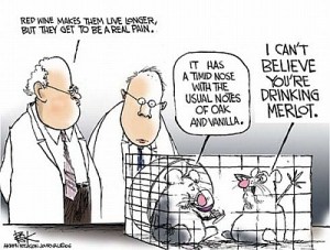 Red Wine Health Benefits Comic