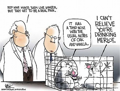 Red Wine Health Benefits Comic