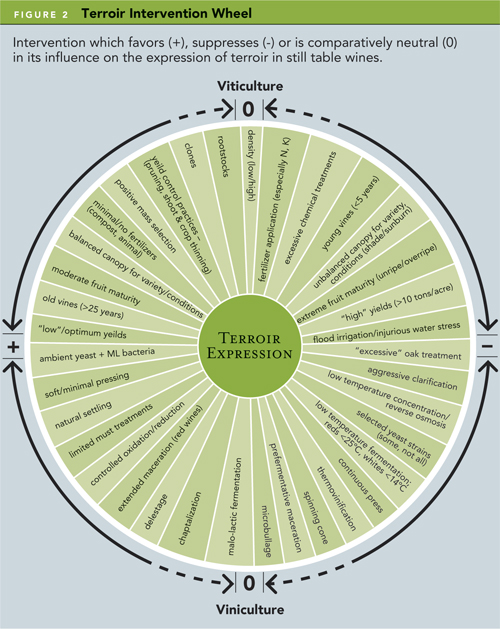 0601_g1_2_terroir-wheel