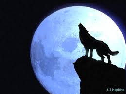 Wolf howling
