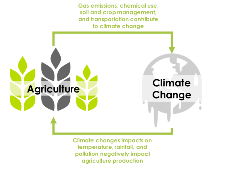 Harvard Business School Graphic